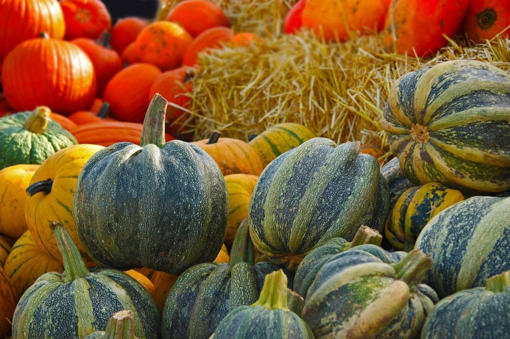 pumpkin-567689_1280