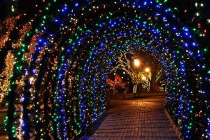 Peddler's Village Tunnel of Lights