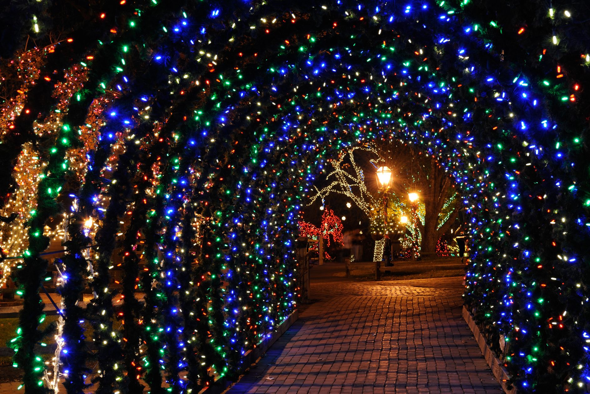 Peddler's Village Tunnel of Lights